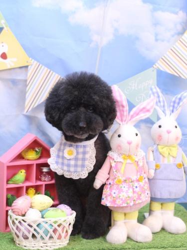 20240323ラブくん